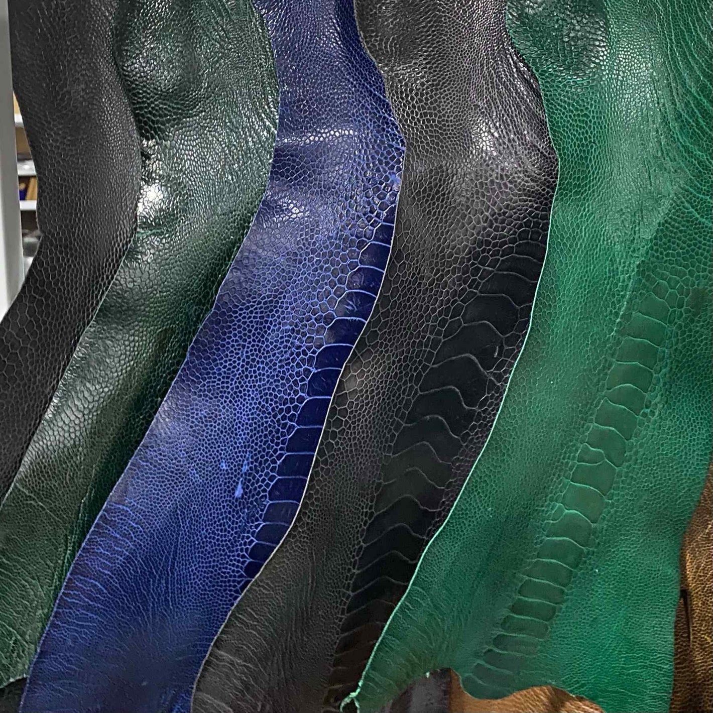 Ostrich Leather Sample Swatch Colours