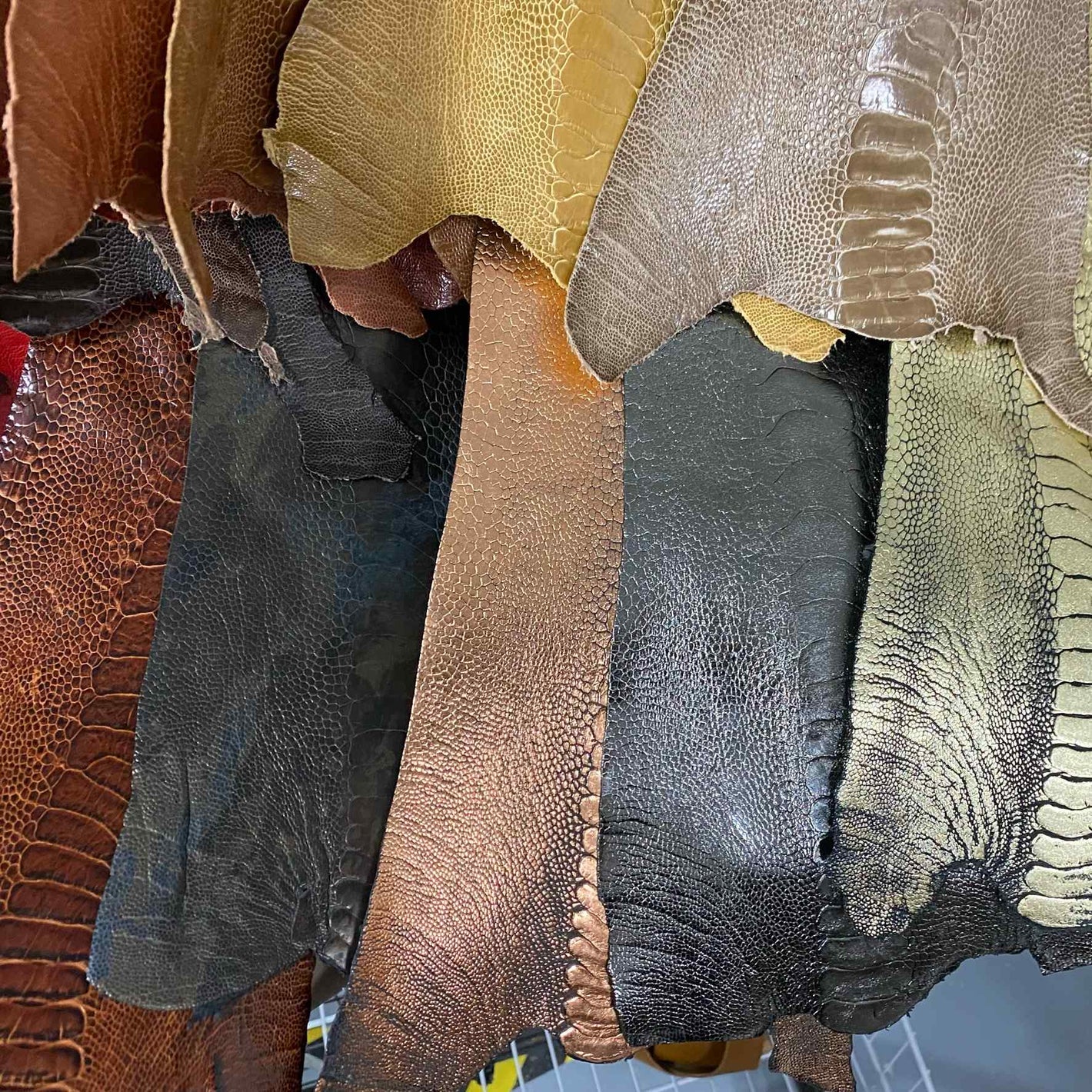 Ostrich Leather Sample Swatch Colours