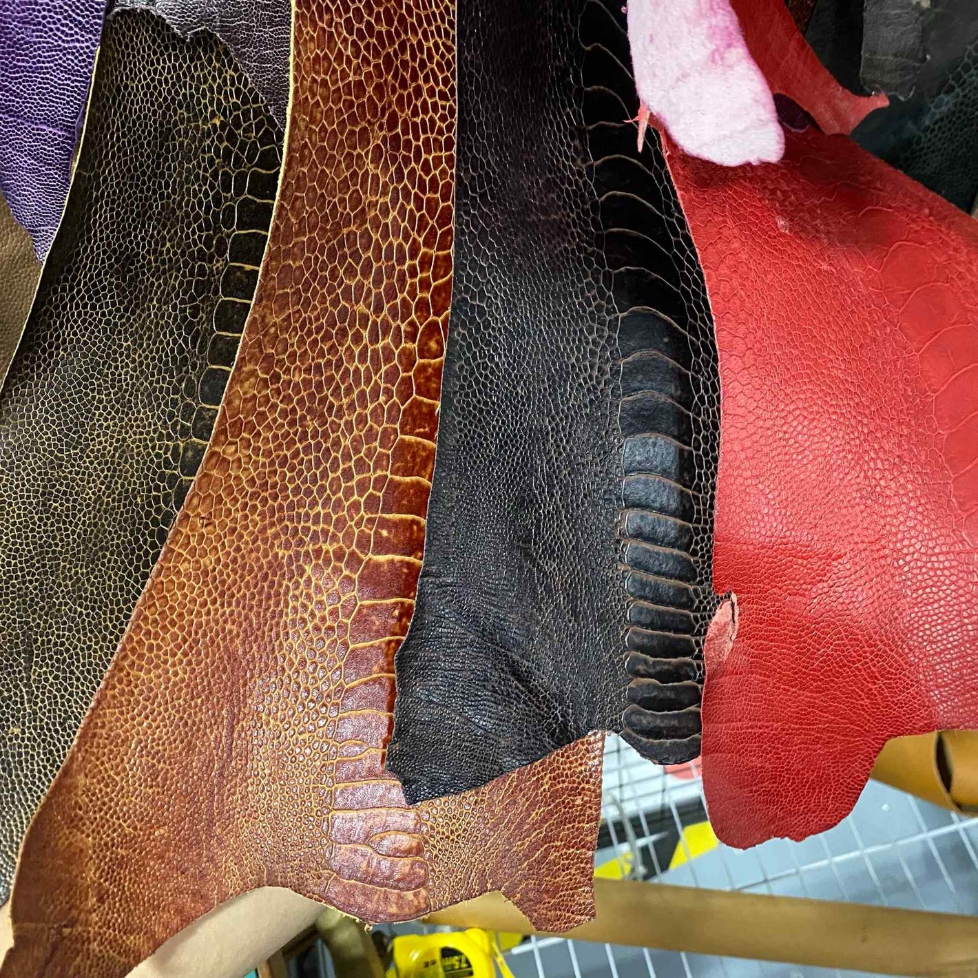 Ostrich Leather Sample Swatch Colours