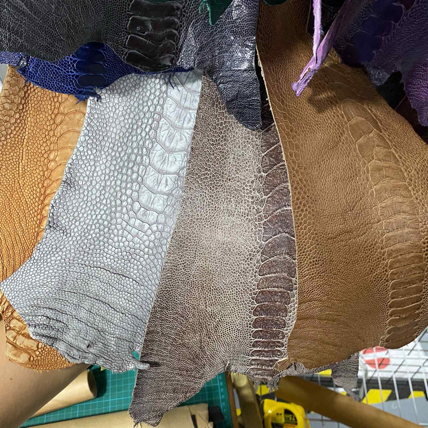 Ostrich Leather Sample Swatch Colours